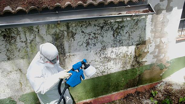 Top rated local Mold Remediation specialists in Stratford, NJ